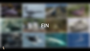 vidéo clipchamp bierlair yaelle.mp4