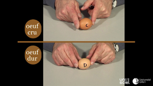 Test de l'œuf : cuit ou cru ?