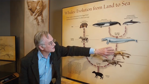 Richard Dawkins Show me the intermediate fossils! - Nebraska Vignettes #1.mp4