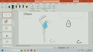 13_MS1_pour_redif_1h.mp4