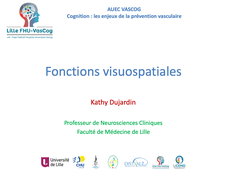 AUEC-VasCog-Module1-Cours1-Fonctions visuospatiales