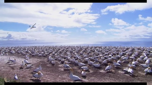 Vidéo sans titre ‐ Réalisée avec Clipchamp.mp4