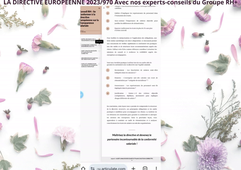 Vidéo annonce et démonstration de la formation des conseils - expertise en transparence salariale -