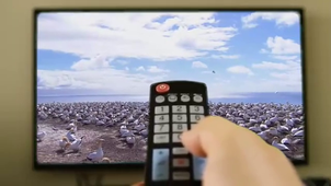 Vidéo sans titre ‐ Réalisée avec Clipchamp.mp4