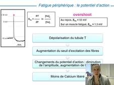 L3-NPM - La fatigue musculaire 2026 chapitre 7a.mp4