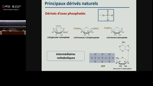 20251010_Cauffiez_16h-17h_las2.mp4