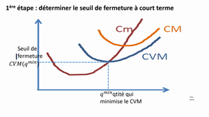 Méthodologie - fonction d'offre de court terme de la firme concurrentielle