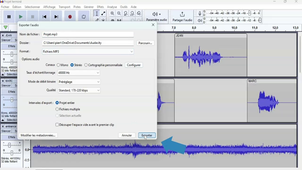 Projet Audacity LIENARD Pierre L3 SEF.mp4