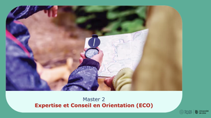 Sciences de l'Education et de la Formation - Master 2 Expertise En Conseil (ECO) - Parcours Travail Éducatif, Professionnalisation, Orientation (TEPO) - 2026