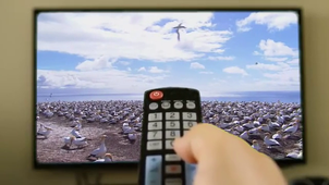 Vidéo_jalucha_leonie ‐ Réalisée avec Clipchamp.mp4