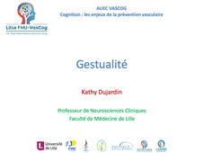 AUEC-VasCog-Module1-Cours1-Gestualité