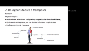 Plantes et nutriments - T.Hennebelle - 15 jan 24 - matin.mp4