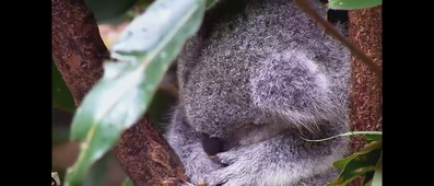 Vidéo sans titre ‐ Réalisée avec Clipchamp (1).mp4