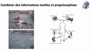 s'informer pour piloter son corps et ses segments.mp4