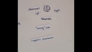 vid_acquisition_romane_nassim_salomee.mov