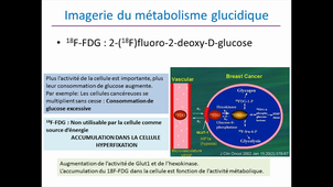 Pharmacologie et imagerie : TEP