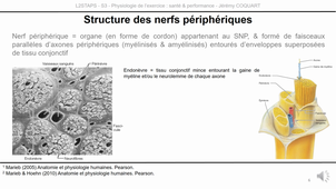 L2-UE5.1-CM2-capsule2.mp4