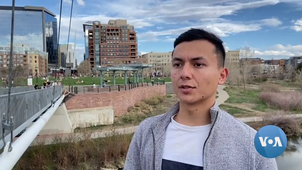 bridge inspector.mp4