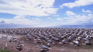 KPONTON_Méric_vidéo_mp4.mp4