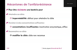 P3- Microbiologie buccale 2 - Pr Kevimy Agossa