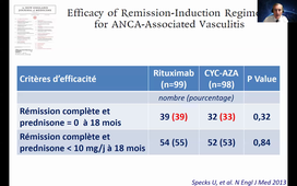 2021-2022 Immunothérapies GPA & PAM DIU 2021 Puéchal 17 mn.mp4