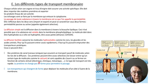 Les membranes biologiques.mp4