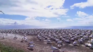 Vidéo sans titre ‐ Réalisée avec Clipchamp.mp4