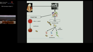 Enseignement_M.Agossa.mp4