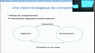 CM - Organisation de la Motricité - François Potdevin 22/09/20