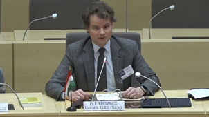 PR Kruzslez HUNG V2.7.mp4