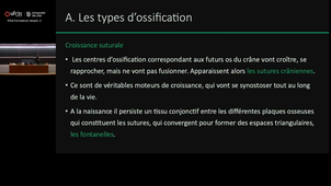 Cours de Mr Colard - Dent et milieu buccal - 2h