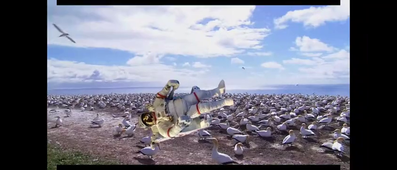 Video_Projet_Vie_Sauvage_Iris_VANLERBERGHE ‐ Clipchamp.mp4