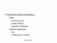 Les Mammifères N°1