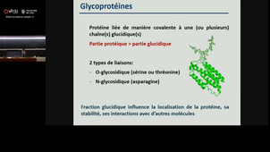 20251017_Cauffier_11h-12h_Las2.mp4