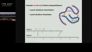 20250912_Cauffiez_9h-10h_las2.mp4