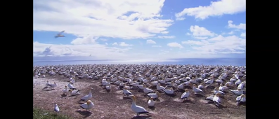 viedo climchamp HERLAUT Gael.mp4