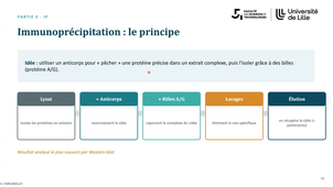 Enregistrement_cours 16oct_VF.mp4