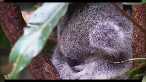 Vidéo sans titre ‐ Réalisée avec Clipchamp (1).mp4