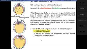 gr22_TD3oiseau_15_10_15h.mp4