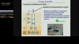 20251114_Hamdane_8h-9h_las2.mp4