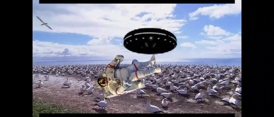 Video_Projet_Vie_Sauvage_Fonds_Vert_Iris_VANLERBERGHE‐Clipchamp.mp4