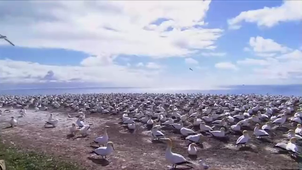 Vidéo sans titre.mp4