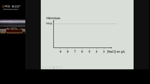 20251010_Huglo_14h-16h_las2.mp4