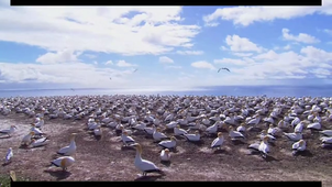 yanis abel Gp4 Clipchamp 1.mp4