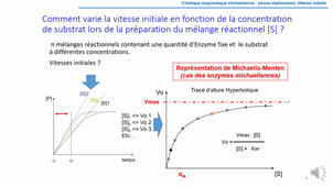 2_Enzymologie_Relation de Michaelis et Menten