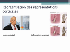 PLASTICITE CEREBRALE.1pptx.mp4