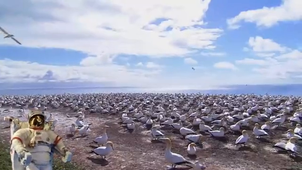 La vie sauvage constance deroo g2 ‐ Réalisée avec Clipchamp.mp4