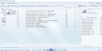 03. Saint-Saens 2e mouvement.mp4