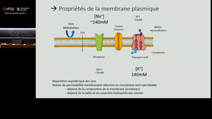 20250905_Lancel_14h-16h_las2.mp4