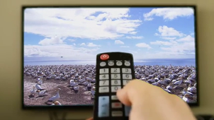 Leroux_Léo_La nature sauavge‐ Réalisée avec Clipchamp.mp4